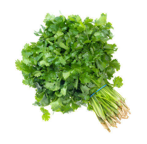 Kolendra świeża (hamem / gindz / համեմ / գինձ) – 1 pęczek Ararateu.com Sklep Ormiański