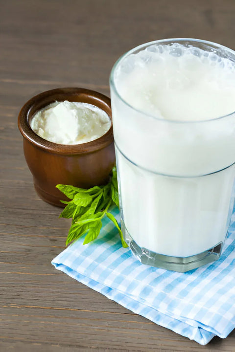 TAN – Ormiański Napój Jogurtowy z Matzuna 400 ml | Naturalny Probiotyk Ararateu.com Sklep Ormiański