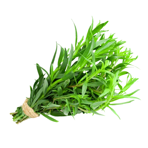 Estragon świeży (Tarchun) – 1 pęczek Ararateu.com Sklep Ormiański